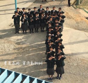 14695510_1161227587293333_533957489214224614_n